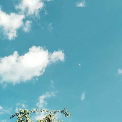 球探手机app下载